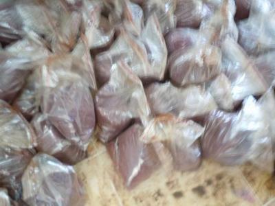 环保节能新选择 成都厂家直销节煤助剂与煤炭添加剂